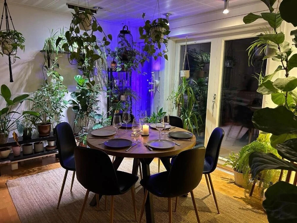 Villa Bee Mehiläinen