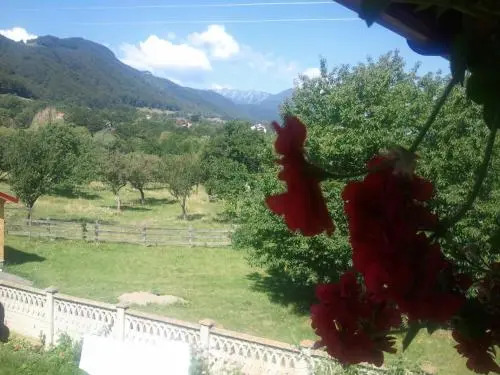 Pensiunea Ilaria