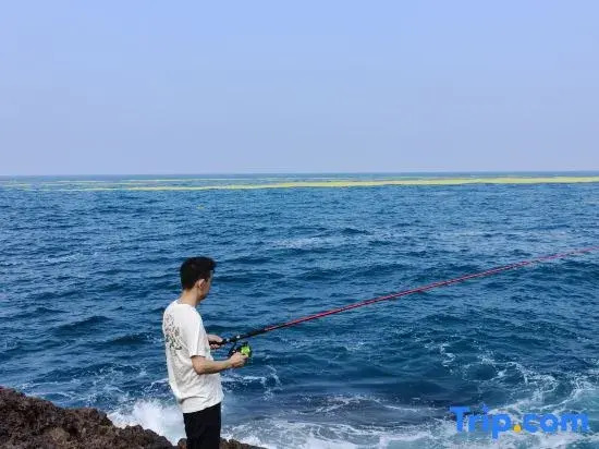 Sea&Sun