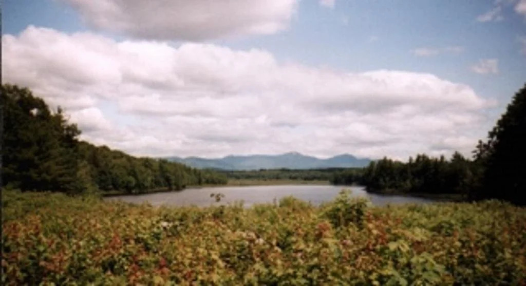 Berry Pond Motel