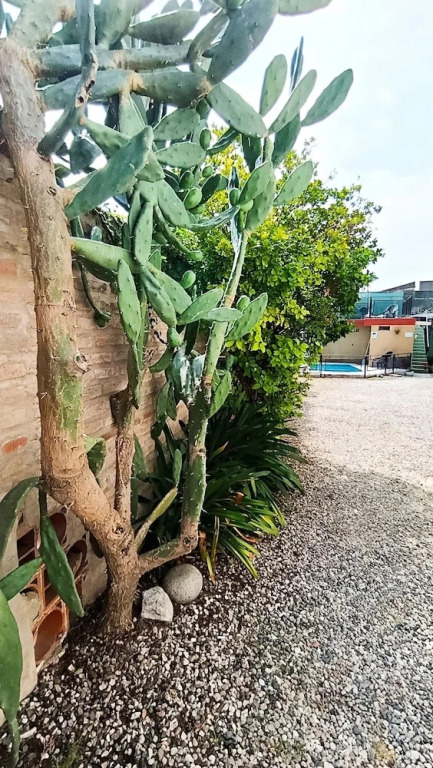 Altas Cumbres Hotel & Apart