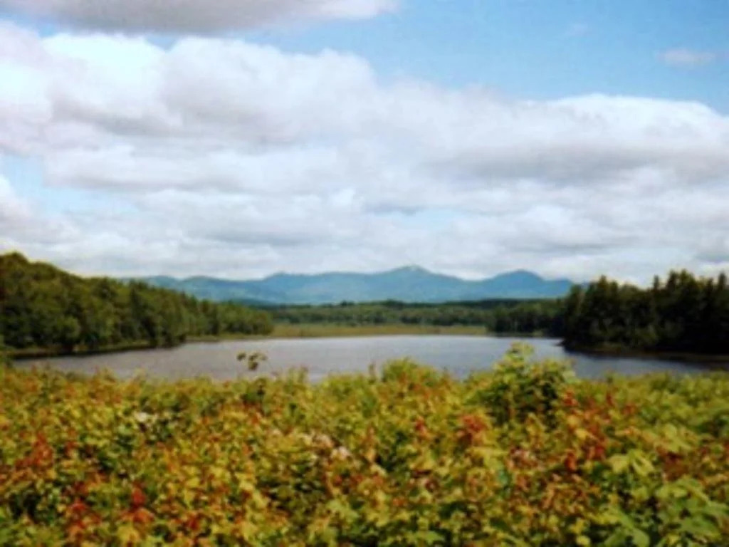 Berry Pond Motel