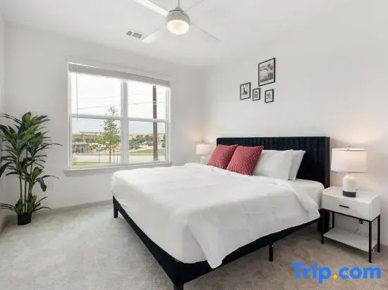 Large & Lively Apt