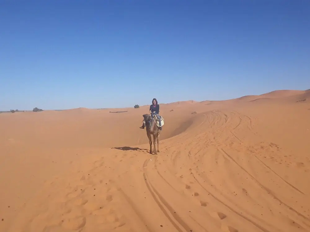 Auberge Sahara