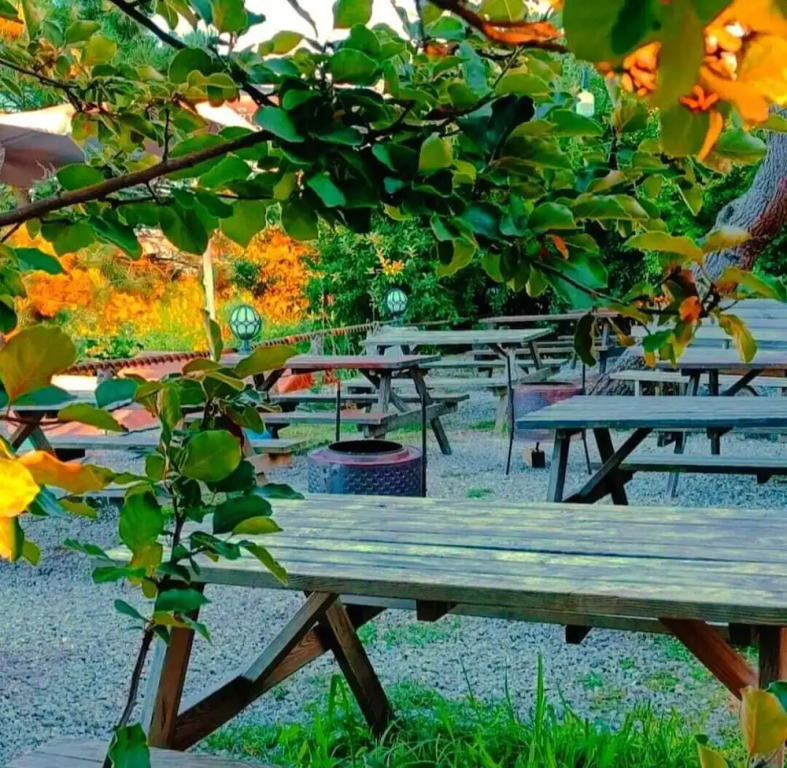 geleSUN kampLAND