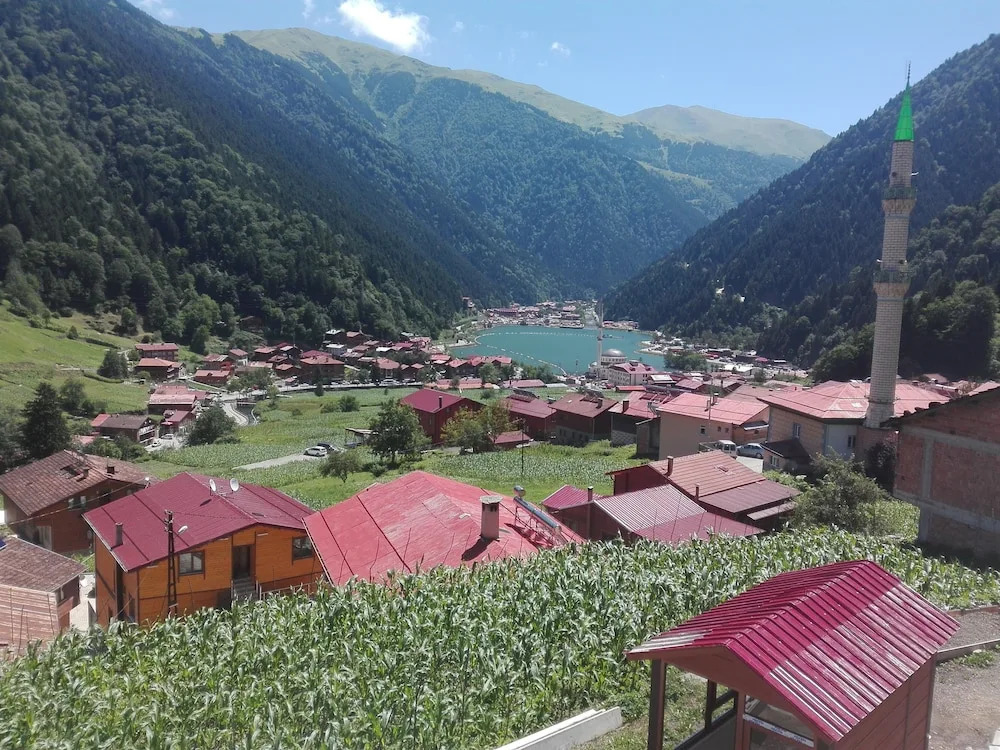 Kuzey Palace