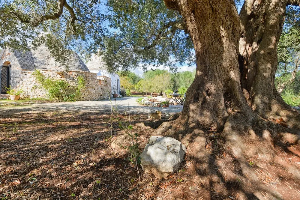 Trullo Aurora