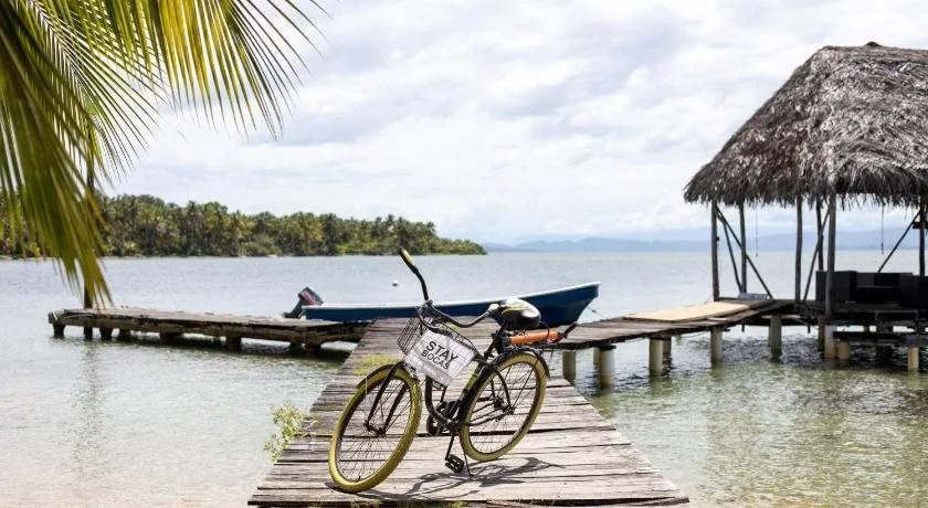 Stay Bocas