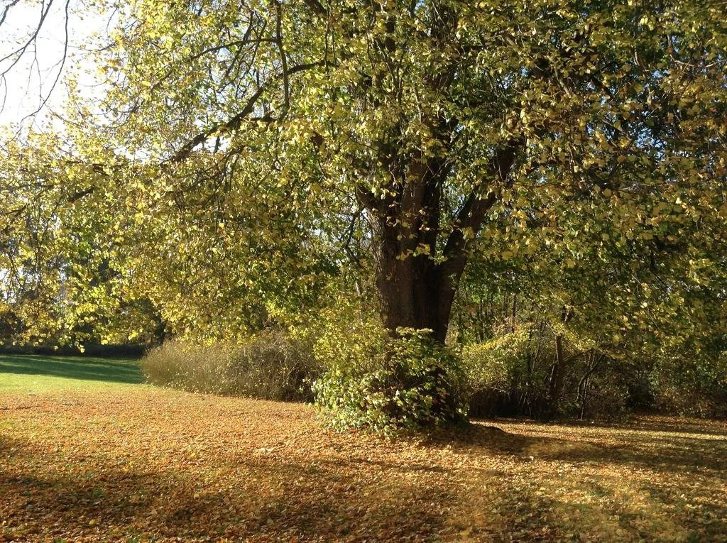 Nykøbing Falster Vandrehjem