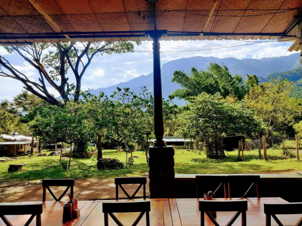 Jungle Hut Resort