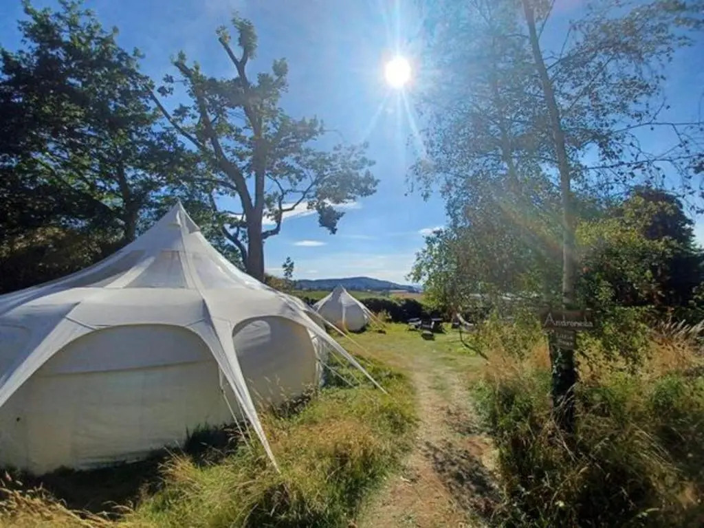 Lotus Belle Tents Sleeping up to 7 Guests