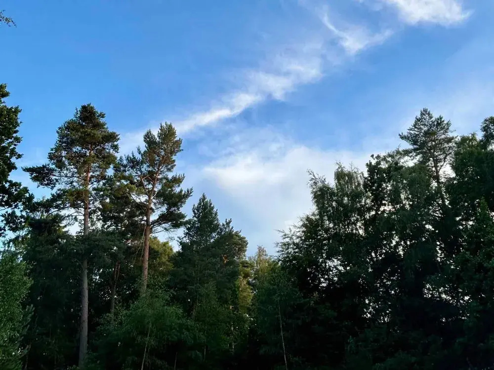 4 Star Holiday Home in Frederiksvaerk