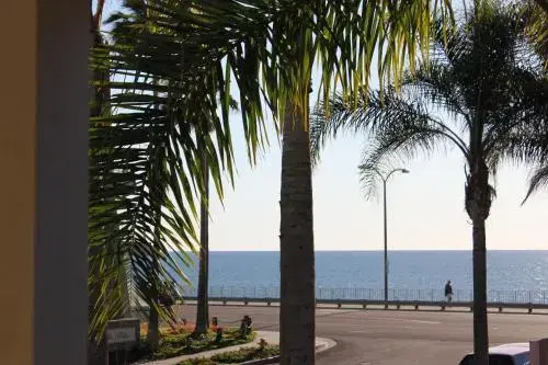 The Beach Palms Carlsbad