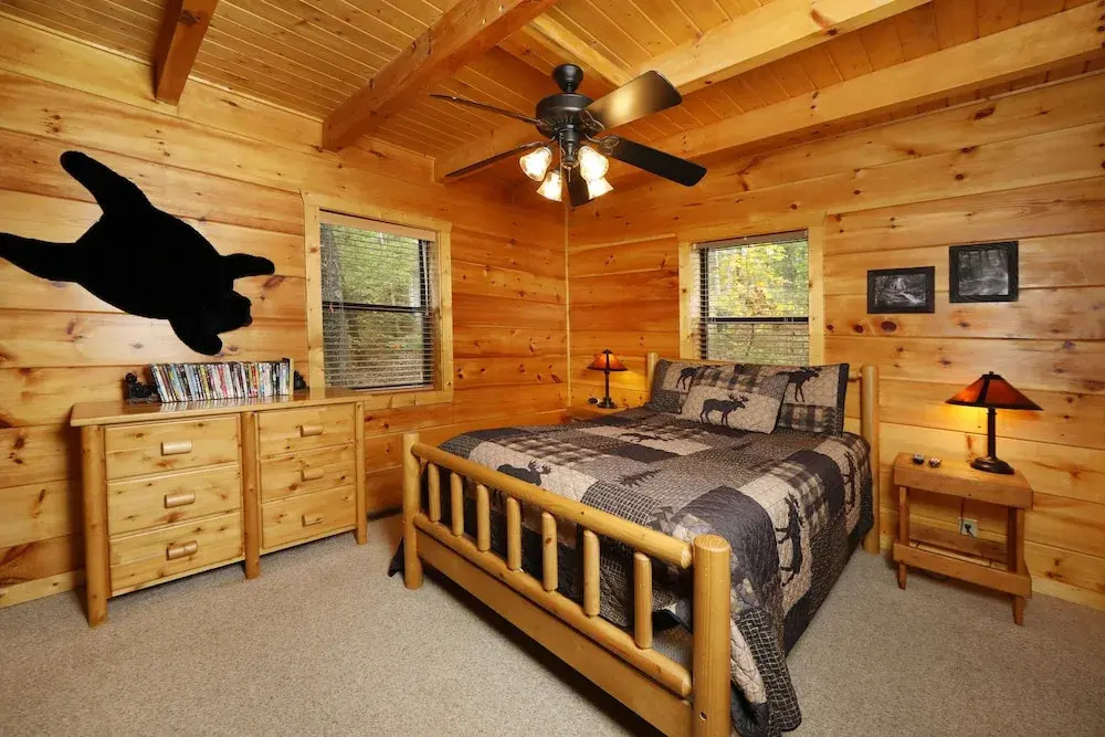 Black Bear Hibernation #2825