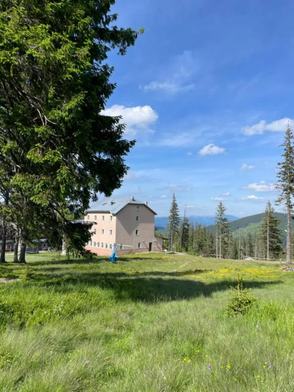 Оаза