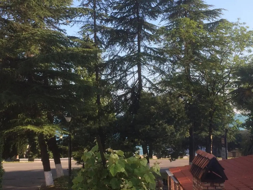 Priboj