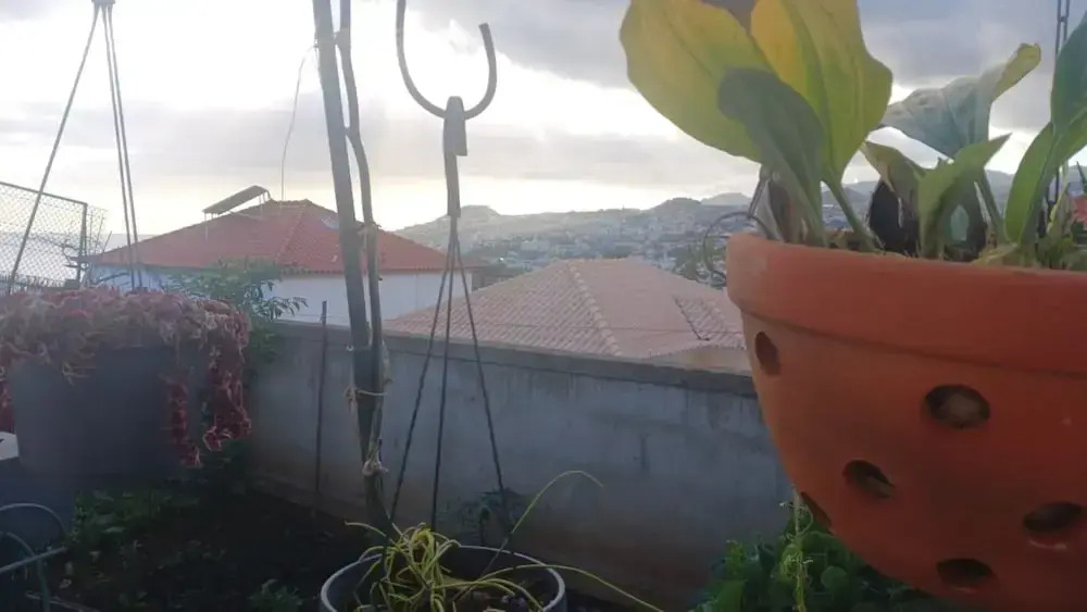 Terrace Villa with Sea View