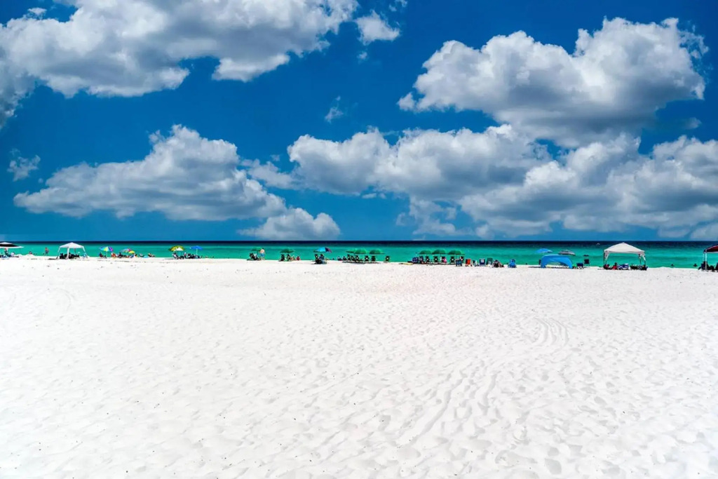 Gulf Shore Drive #4 Harbor Oasis