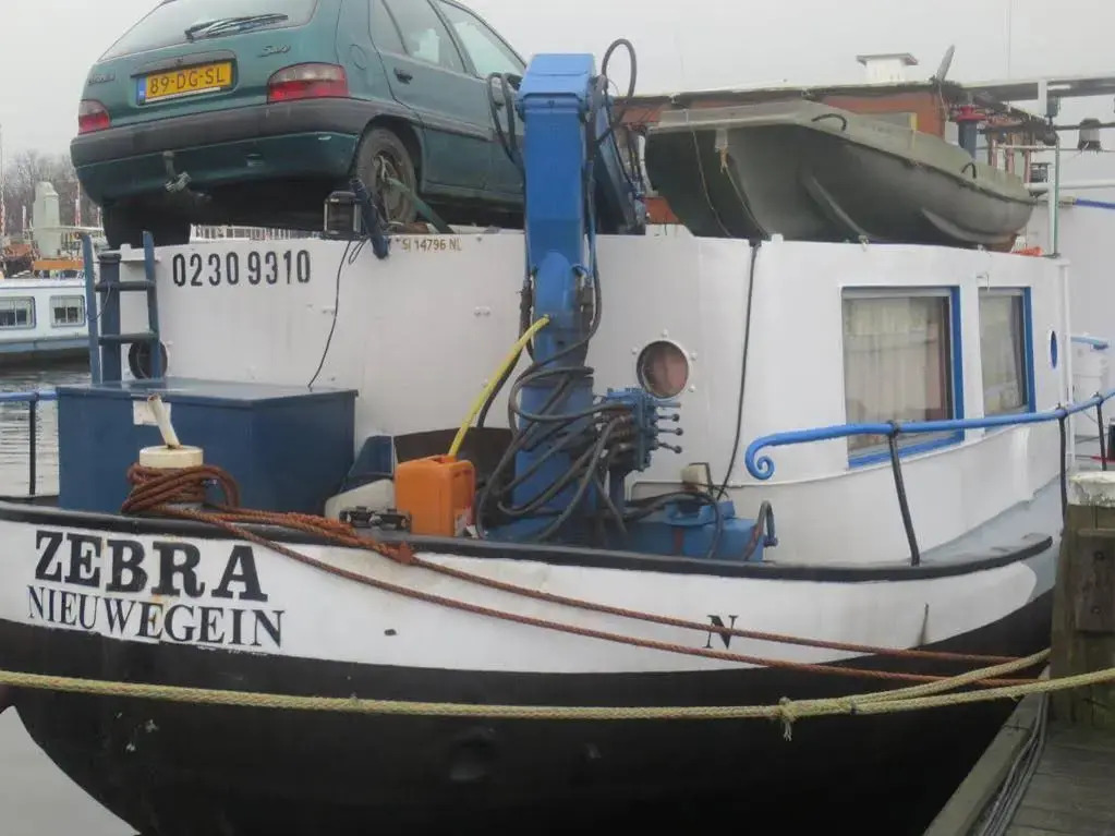 Botel Zebra