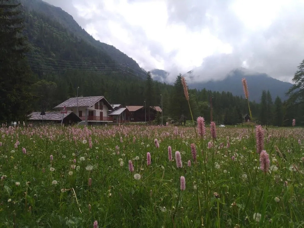 Chalet Rosa dei Monti