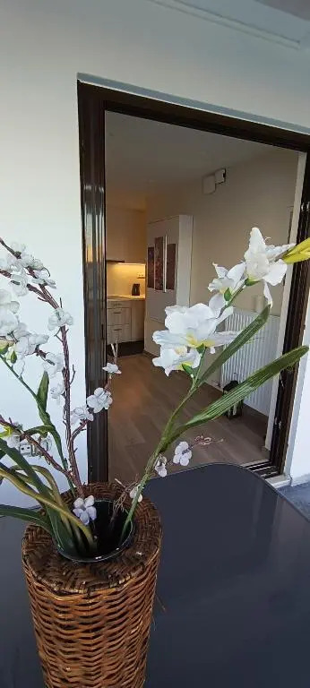 Blue Seaview Suites