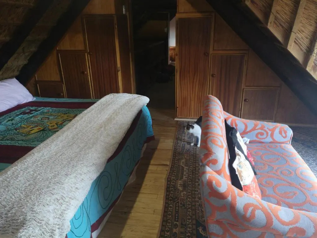 Chilli Moon B&B