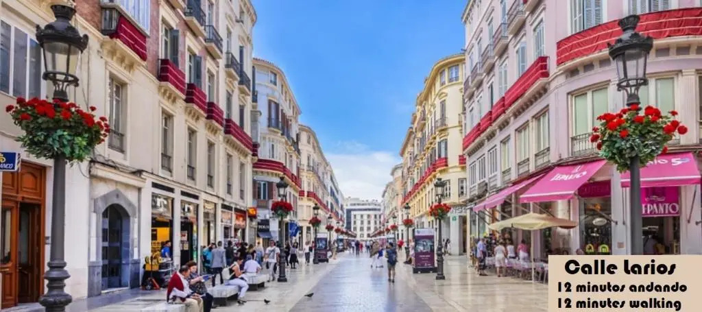 BIG FLAT IN CITY CENTER, UP To 12 PEOPLE