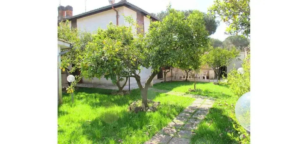 Biondy - A 200mt dal mare