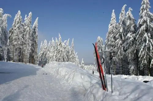 Hotel und Berggasthof Spießberghaus am Rennsteig