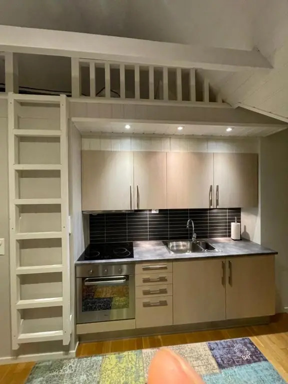 Novatind - Studio apartment with free parking