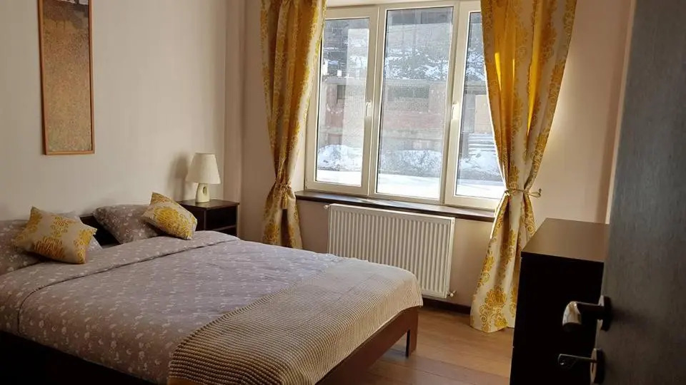 Prahova Valley Apartment