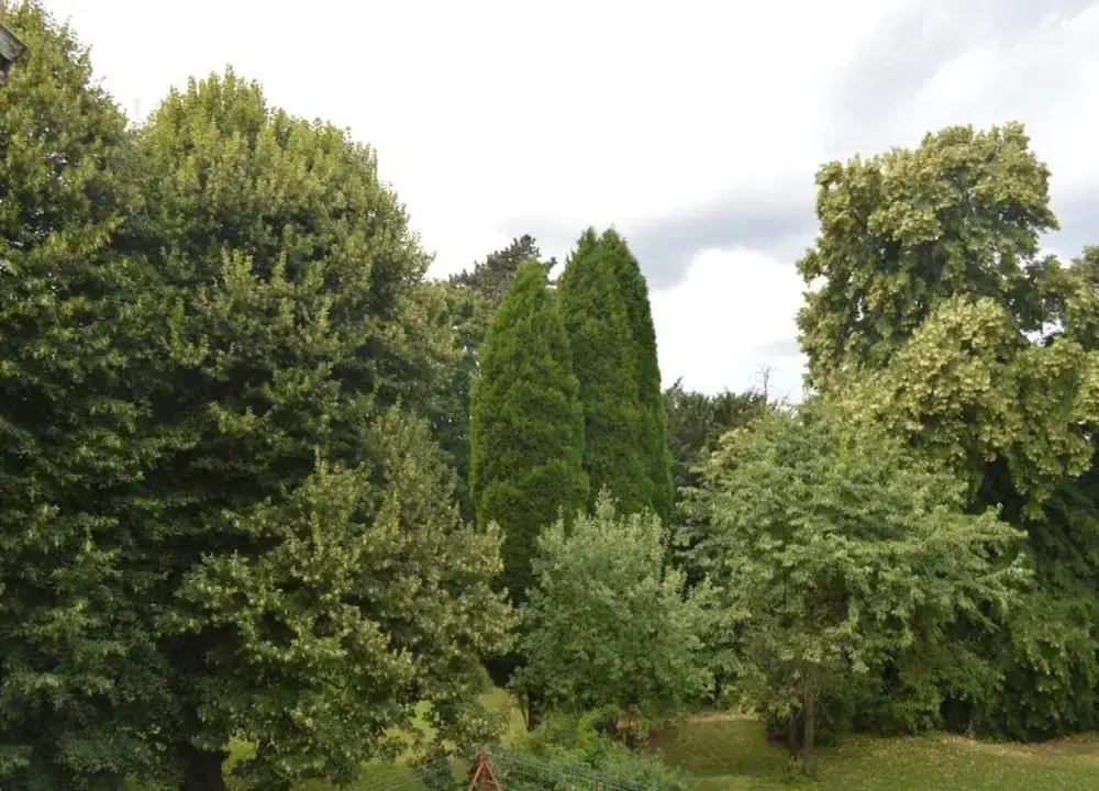 Limbourg Nature Retreat