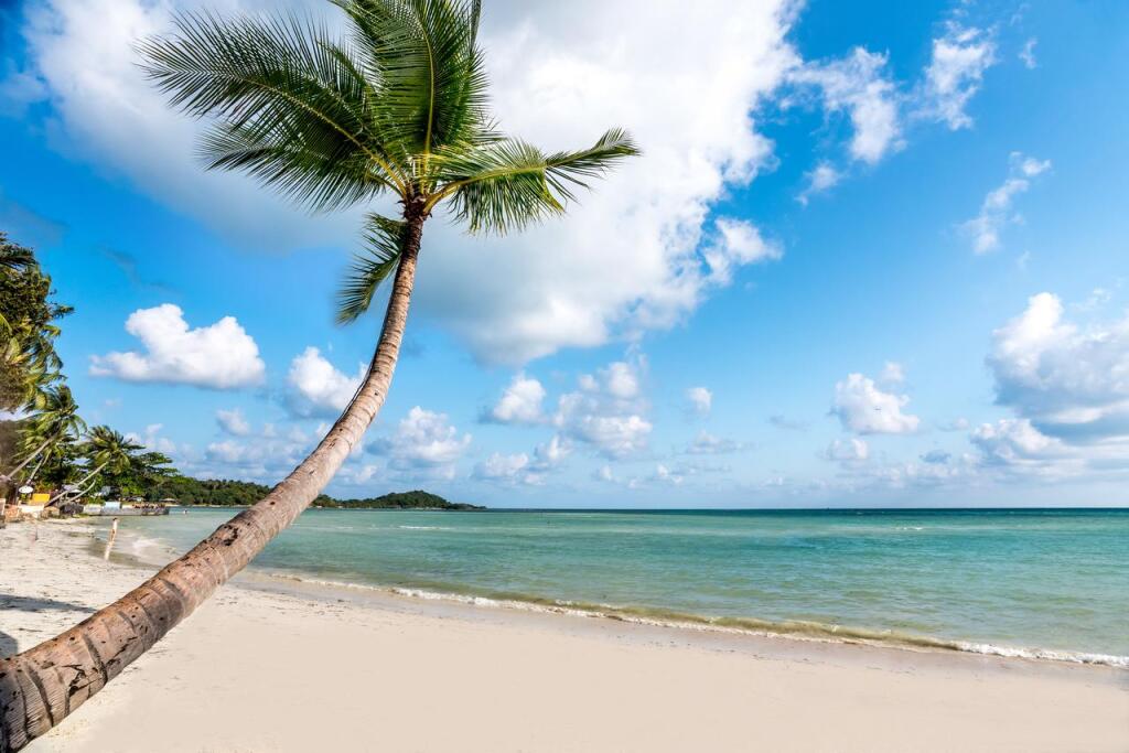 Beyond Samui
