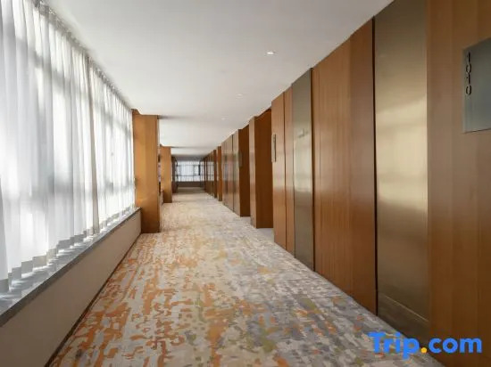 Zhu Zhou Little swan deiss hotel