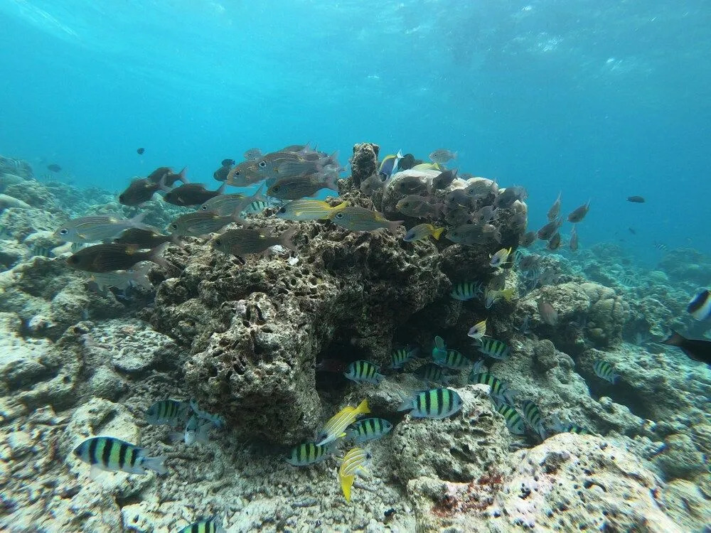AIMI Beach, Gulhi Island, Maldives
