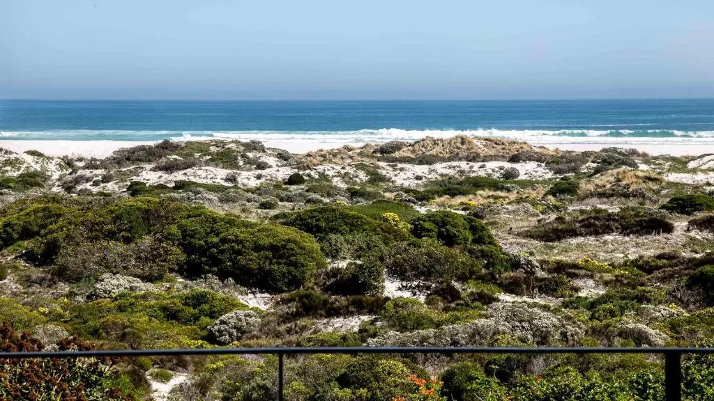 Willow Beach House
