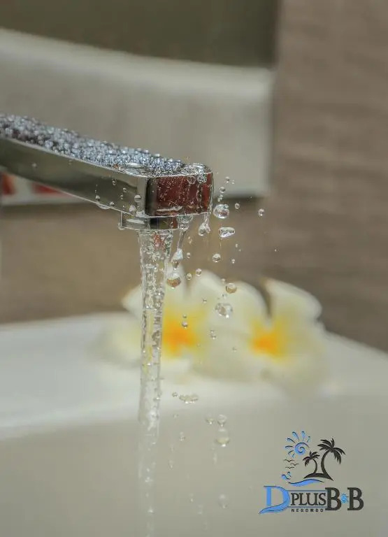 D Plus B&B Negombo