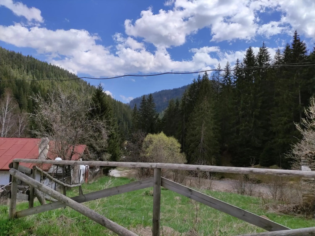 Year-round apartment 50m away from ski lift