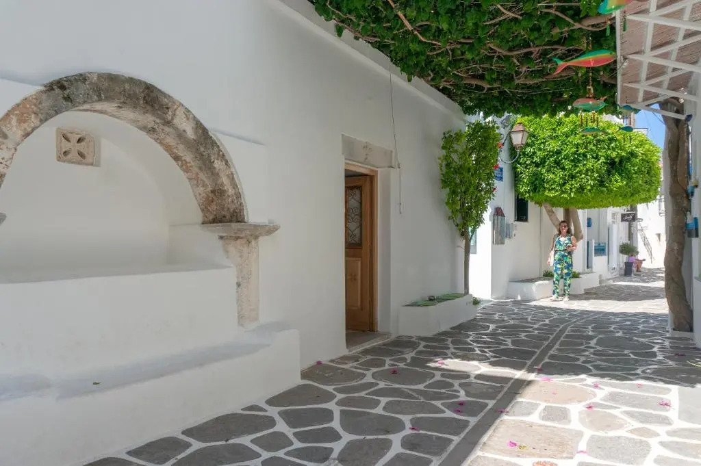 Pelican Paros