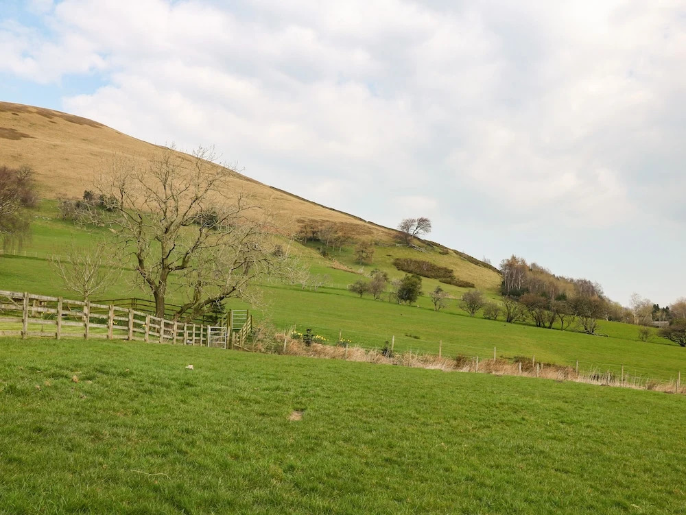Meadow View