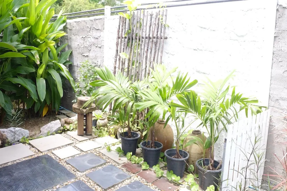 Zenzine Resort