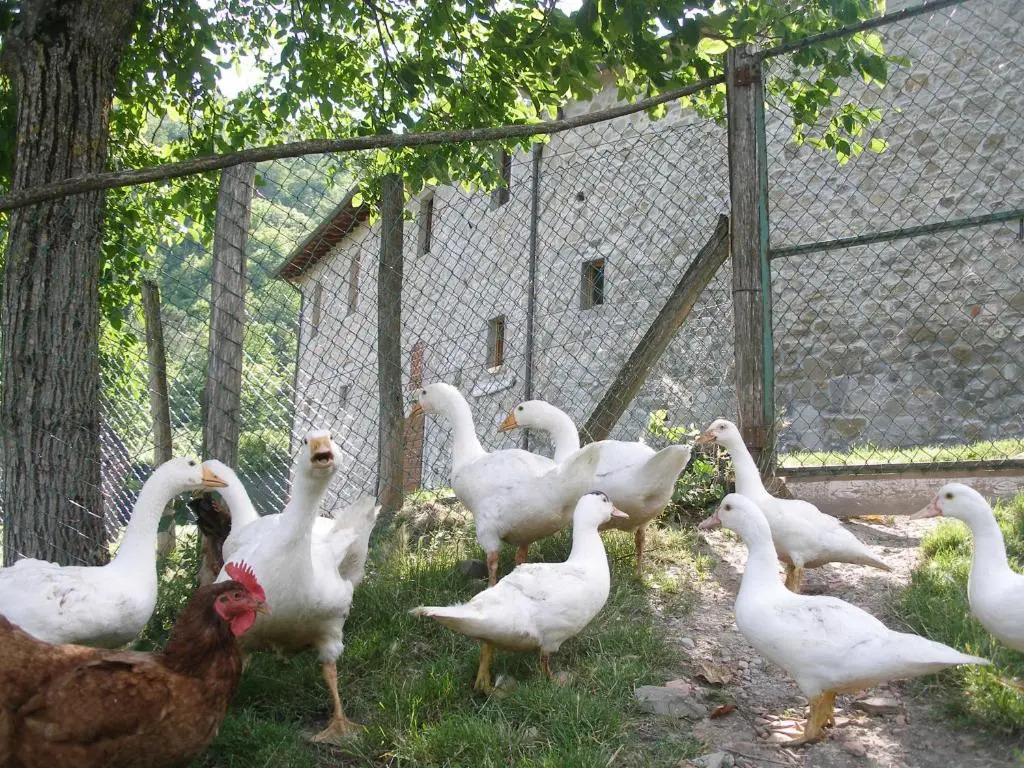 Agriturismo Podere Fiume