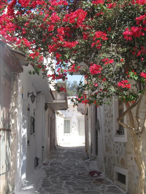 Kallos Villas & Suites