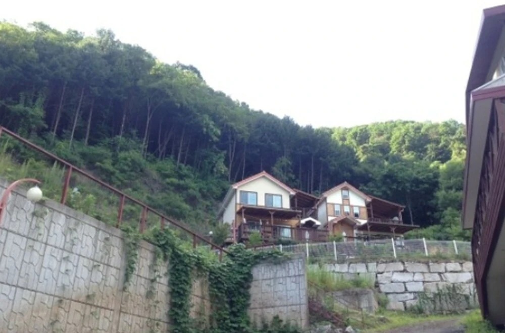 Olive County Pension