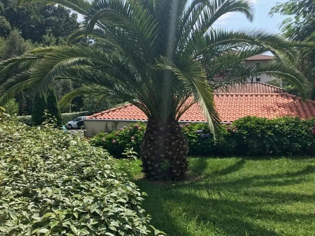 Appartement Saint-Jean-De-Luz, 4 Pièces, 8 Personnes - Fr-1-4-499