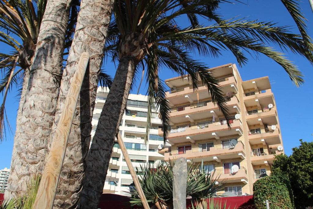 Apartamentos Odysea