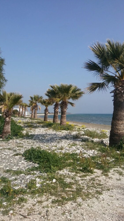 Il Mare Beach House