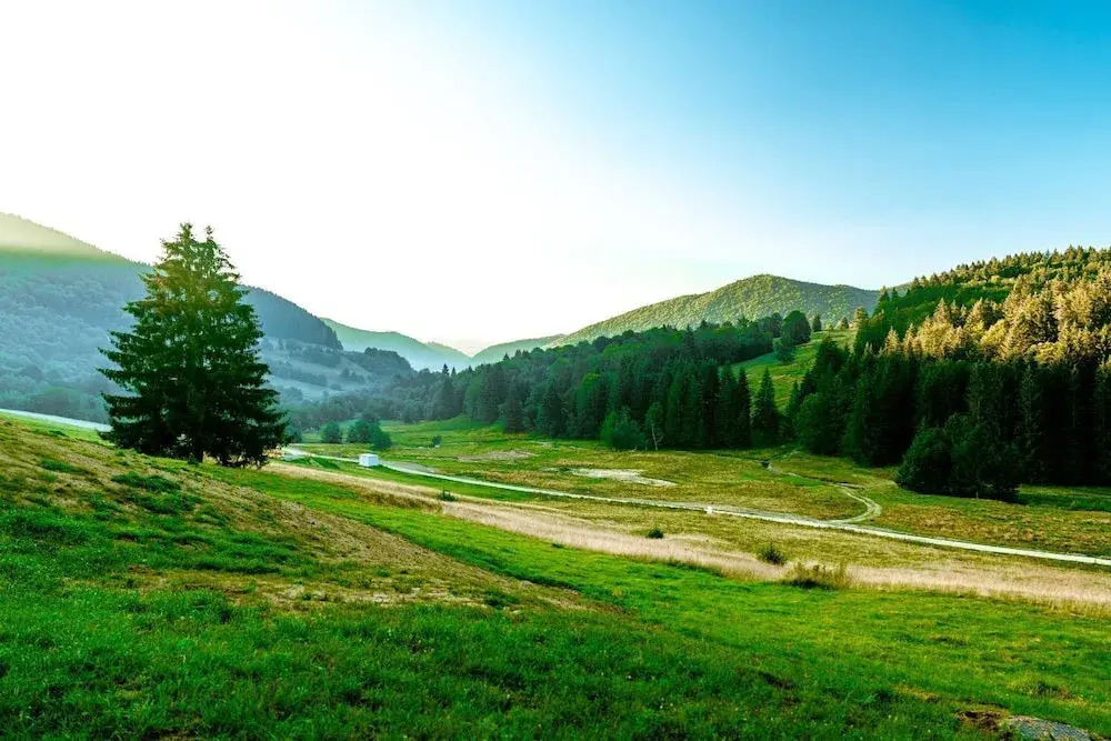 The Valley Resort
