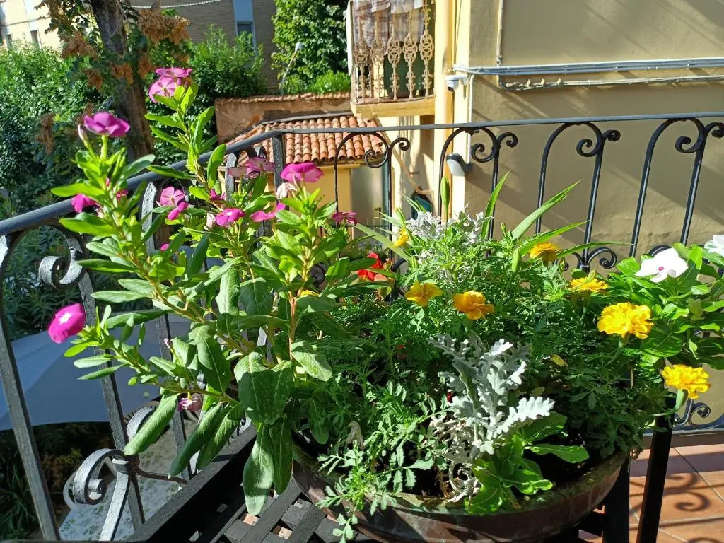 Appartamenti Borghetto San Donato 105