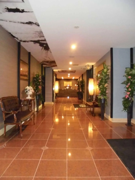 Hotel D.D